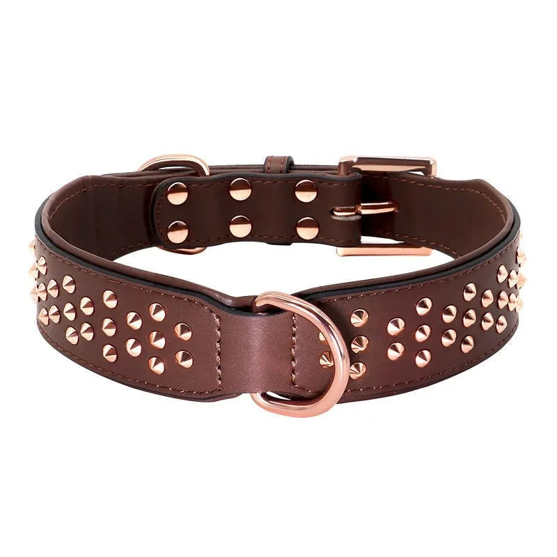 Leather dog collar with metal rivets in chocolate colour, shown with a D-ring and buckle.