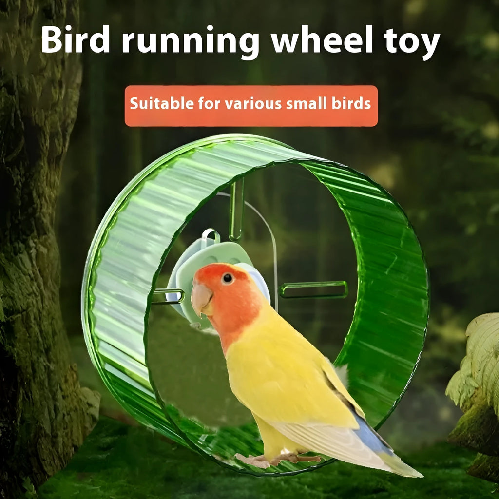21cm diameter plastic parrot running wheel toy in transparent colour option for cage exercise.
