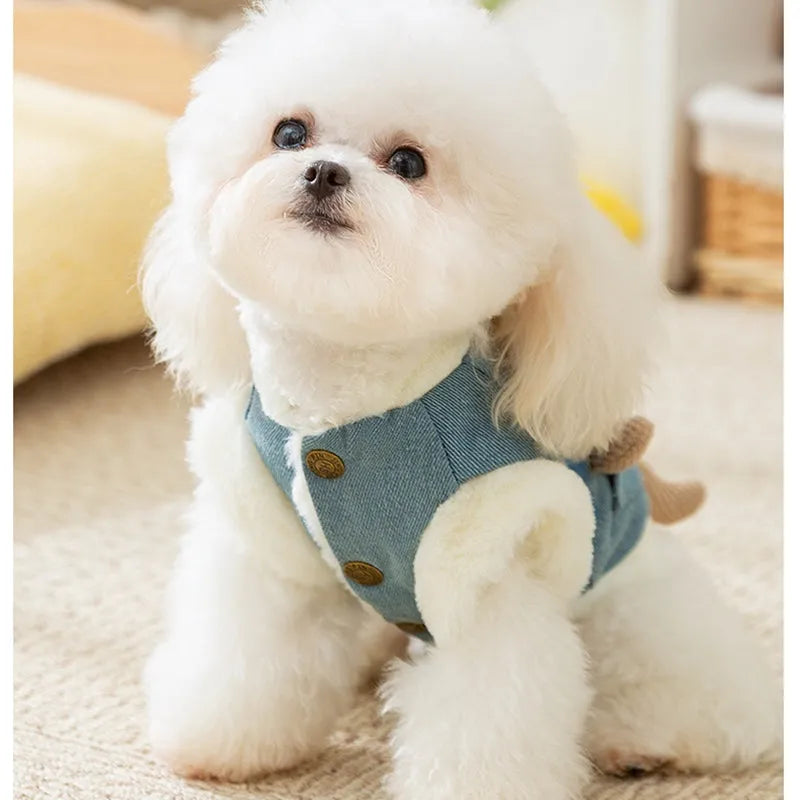 Blue denim pet coat with 3D bear pocket and wool lining for warm winter walks