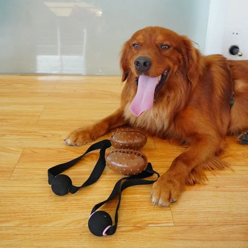 Coffee bean shaped dog chew toy with textured surface and visible rope knot interior for tooth cleaning