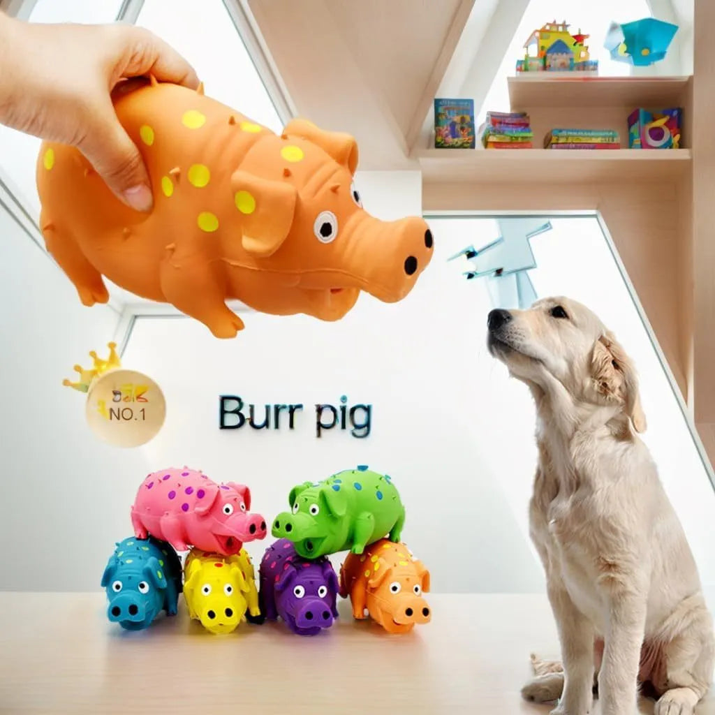 Colourful latex pig-shaped dog chew toy with textured surface for teeth grinding