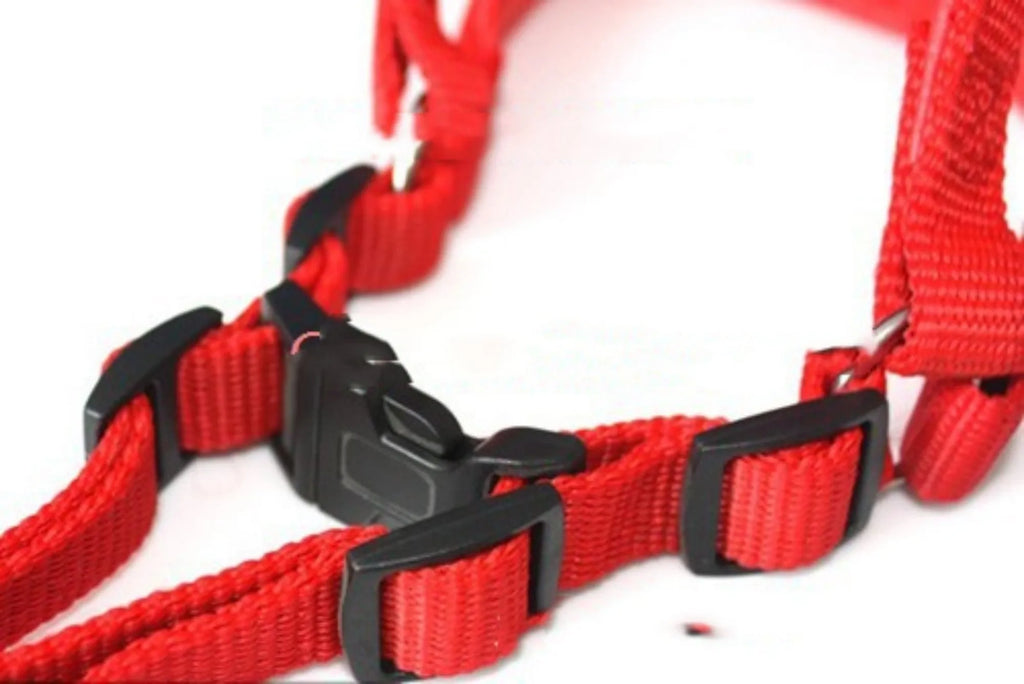 Nylon pet harness with soft foam lining in black, blue and red colours showing leash attachment ring