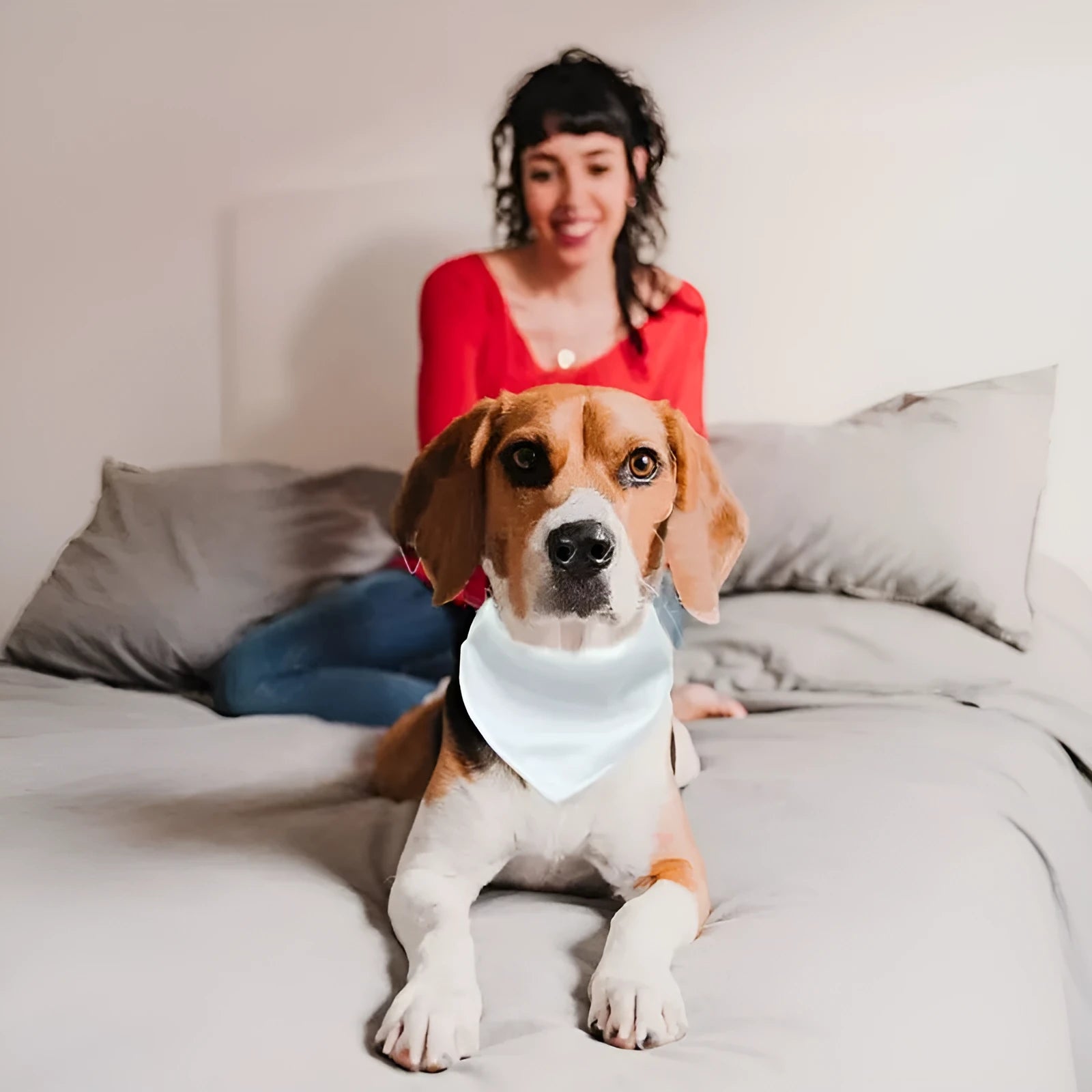 White adjustable polyester dog scarf designed for thermal transfer customisation with four size options