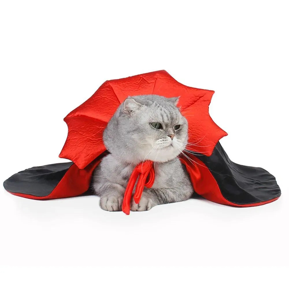 Small black vampire cloak costume on a mannequin, showing sizing for a pet.