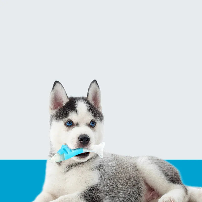 PU nylon seahorse and tuna dog chew toys for puppy teething
