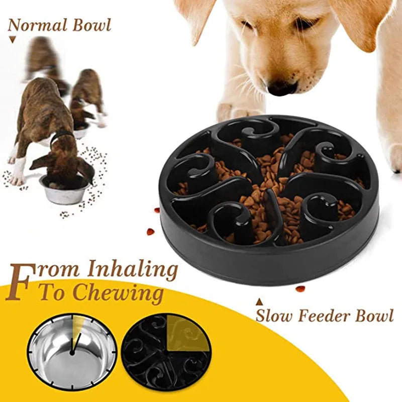 A slow feeder dog bowl with a maze pattern inside, shown in one of six available colours on a non-slip base.