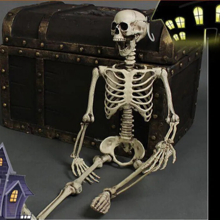 Full-length plastic skeleton prop standing at 170 cm height with detailed skull.