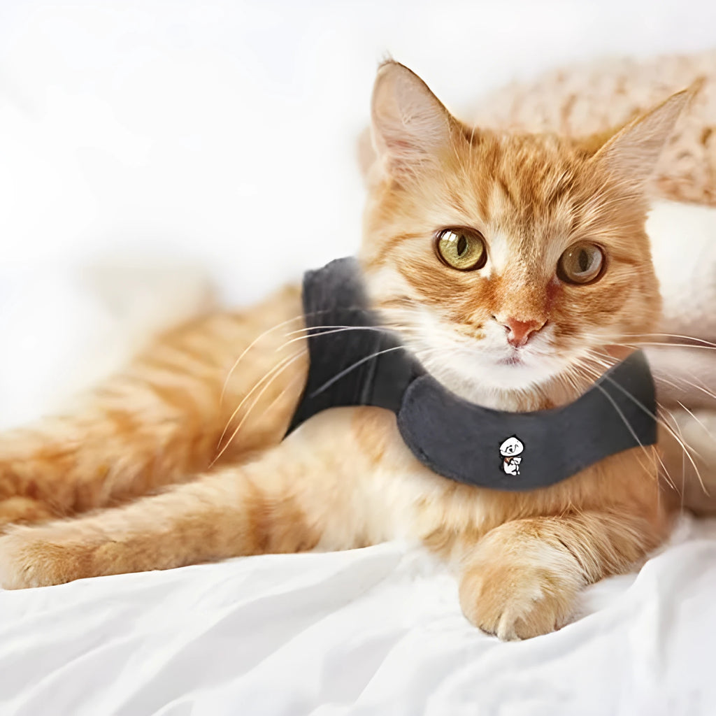 Dark gray polyester pet vest for dogs and cats, summer lightweight design, side view