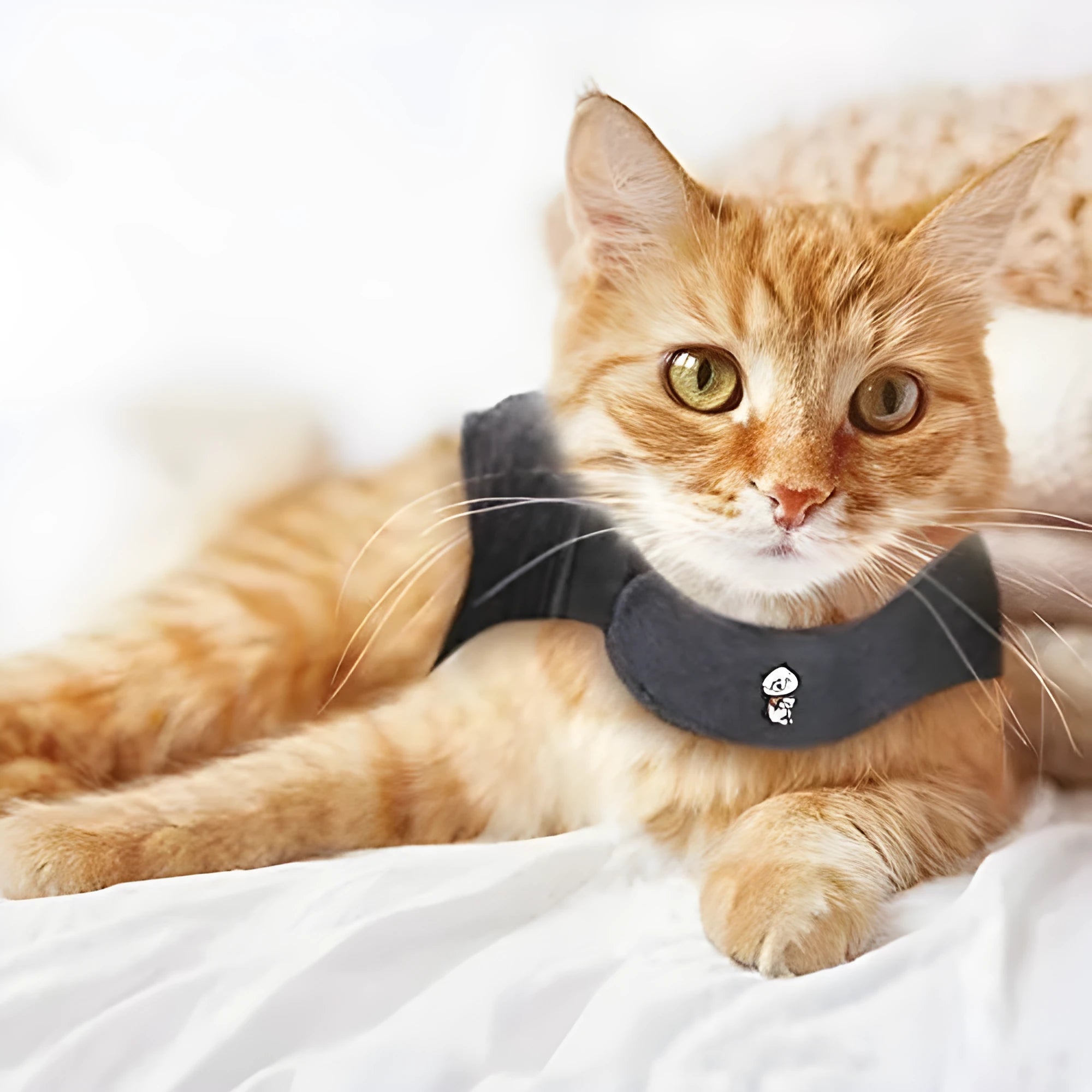 Dark gray polyester pet vest for dogs and cats, summer lightweight design, side view