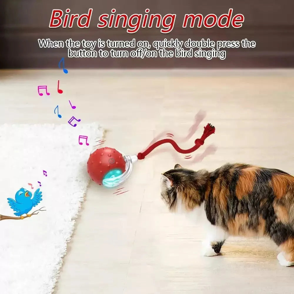 Red cat rolling ball toy with jingle bell for interactive indoor play with cats and kittens