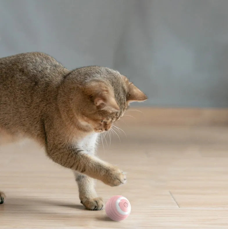 Blue rechargeable automatic rolling ball cat toy on a floor.