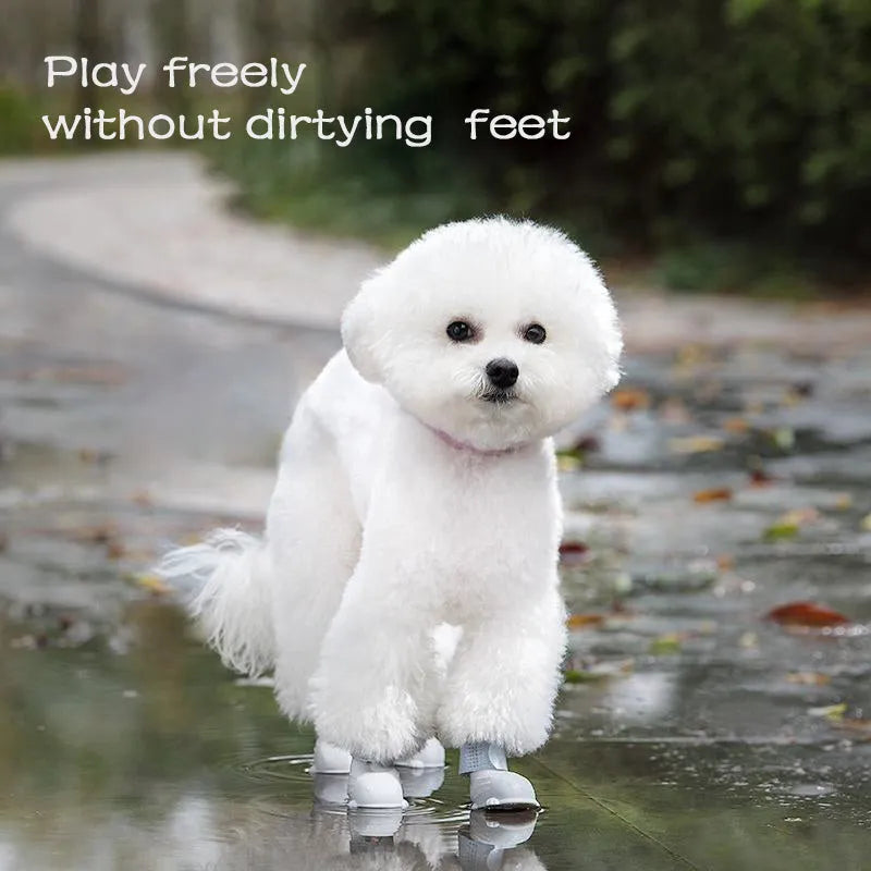 Four waterproof silicone dog rain boots in blue, grey, light blue and pink on a white background