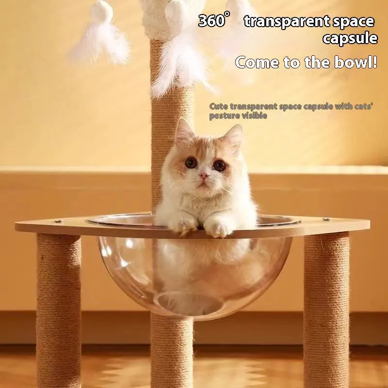 Wooden cat climbing frame with integrated space capsule in luxury wood colour