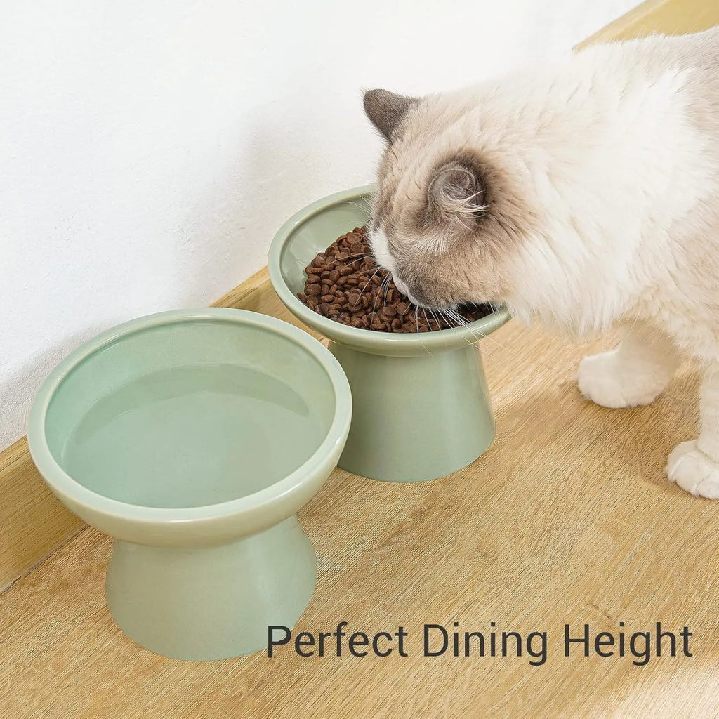 Blue ceramic elevated cat bowl with wide shallow design for comfortable feeding