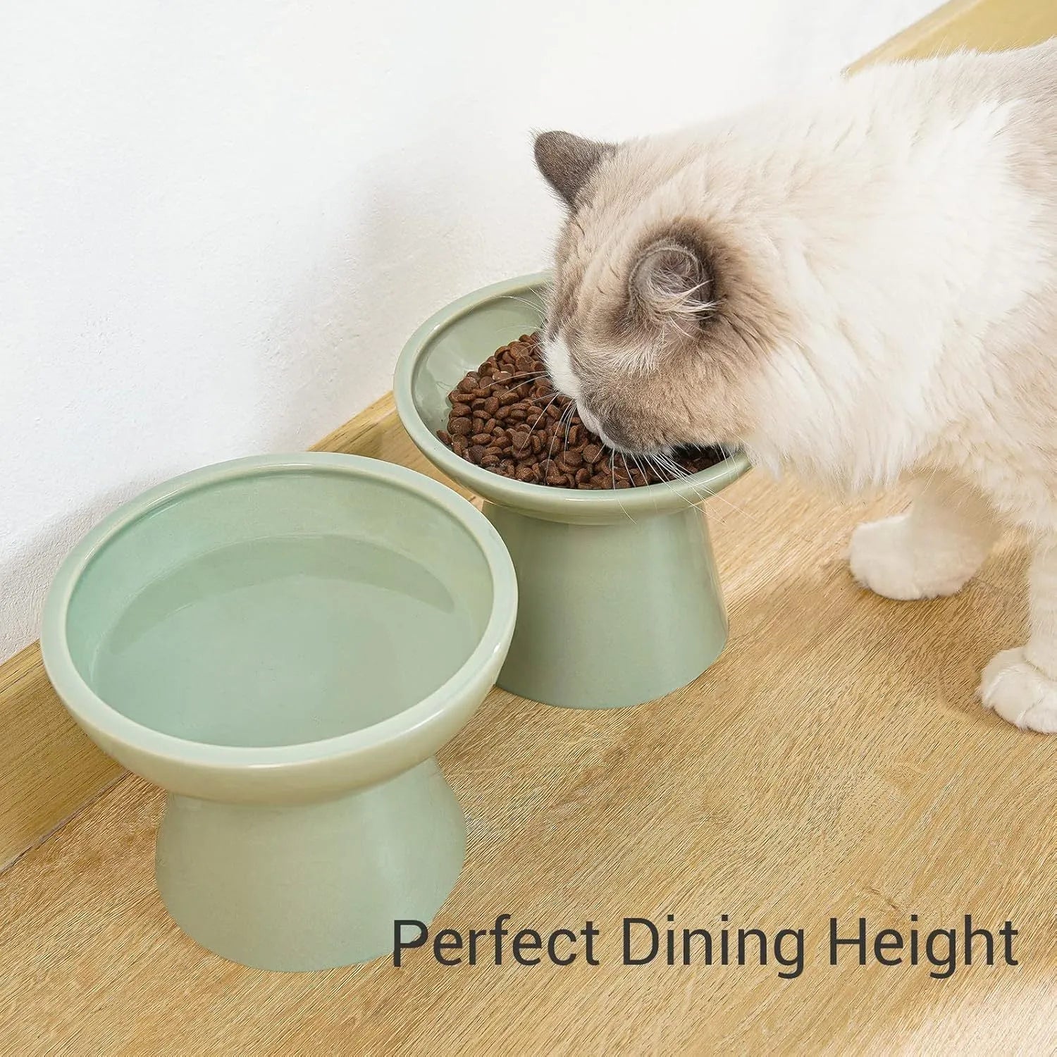 Blue ceramic elevated cat bowl with wide shallow design for comfortable feeding
