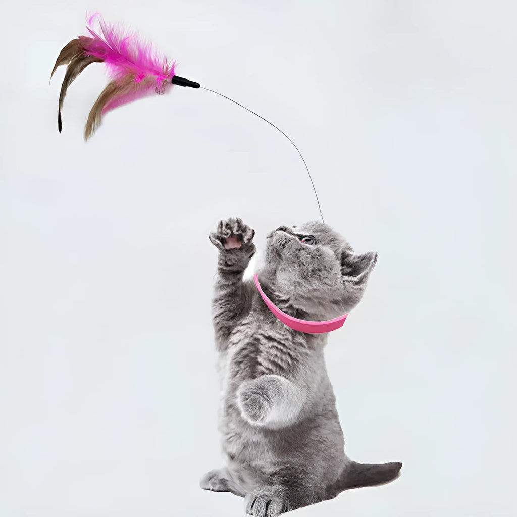 Adjustable cat collar toy with bell, detachable silicone teasing wand, and feather attachment in blue and pink options