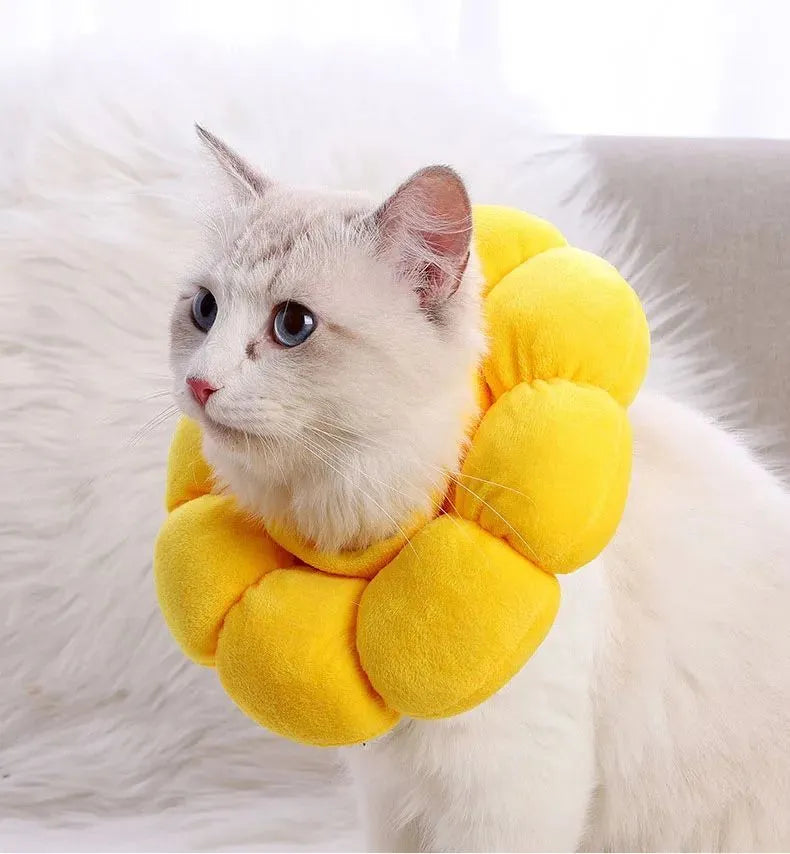 Sunflower patterned cotton pet recovery collar with adjustable band for post-surgical protection