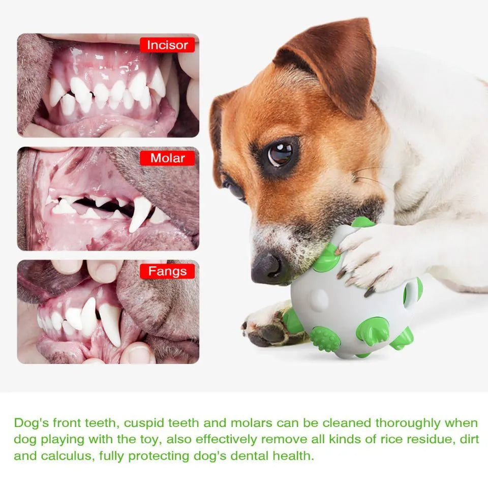 Blue green and yellow spherical dog chew toy with textured bumps and a hollow centre.