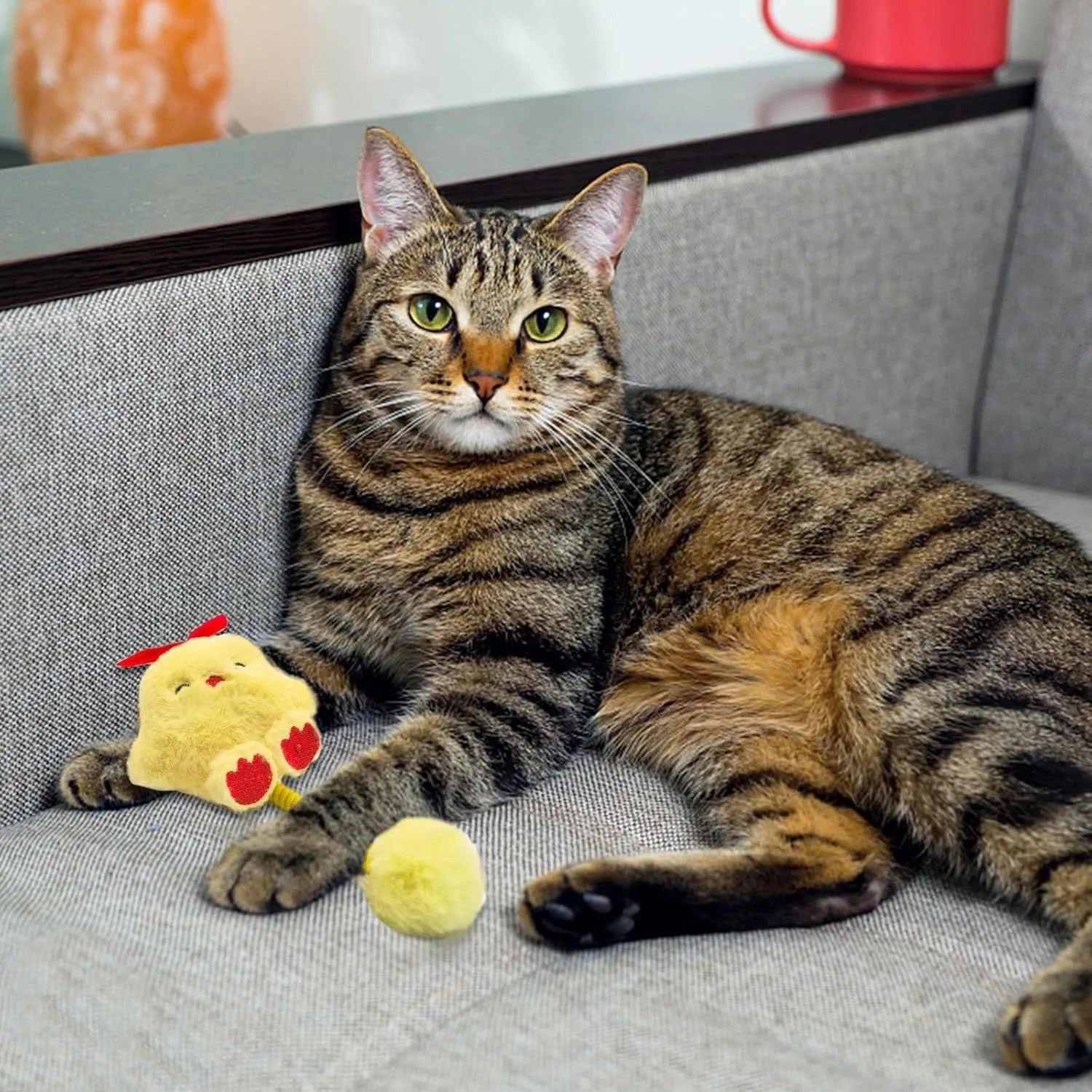 Set of interactive cat toys including a plush animal, silvervine fruit, a spring, and a fuzzy ball.