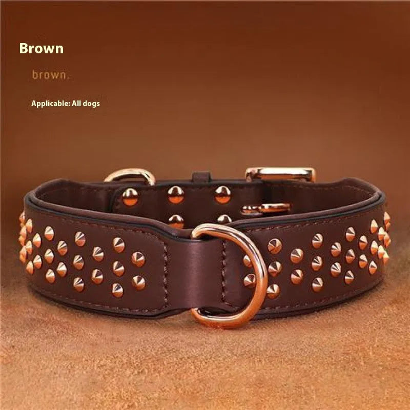 Leather dog collar with metal rivets in chocolate colour, shown with a D-ring and buckle.