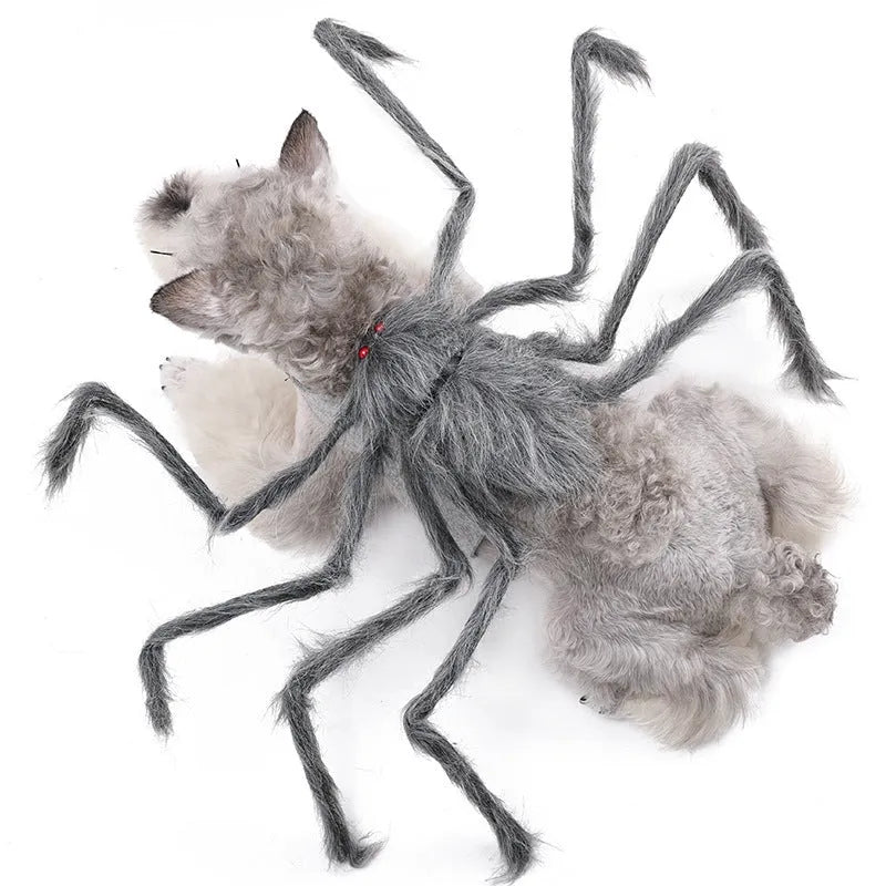 Grey and black spider Halloween costume on a dog showing back covering and adjustable leg straps.