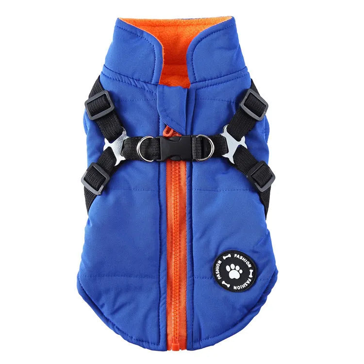 Dog wearing chest strap jacket with cotton padding in blue colour