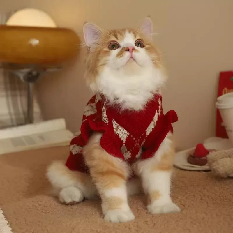 Red cat sweater with diamond embroidery cherry pattern shown in various sizes