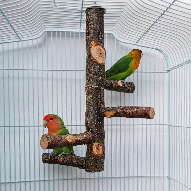 Apple wood parrot stand toy with bite string and natural colour perches