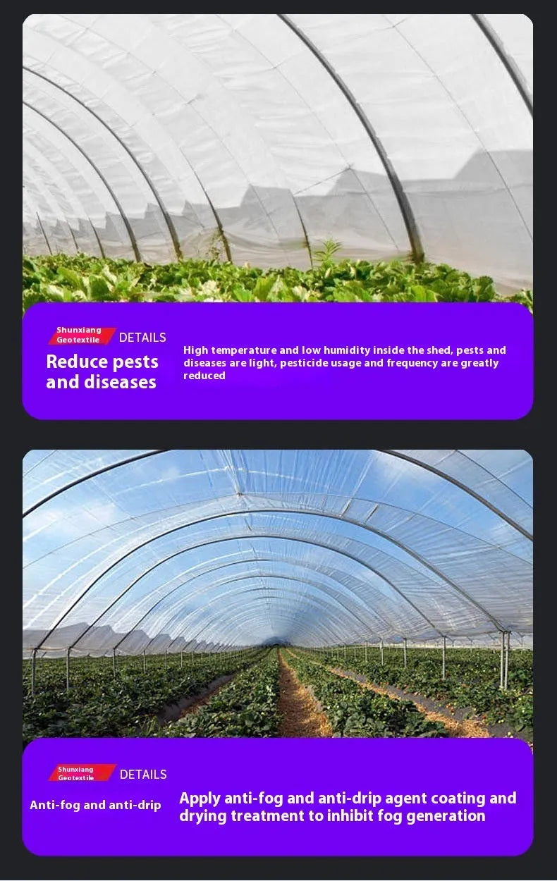 Plastic film greenhouse cold insulation sheeting for vegetable shed cold protection