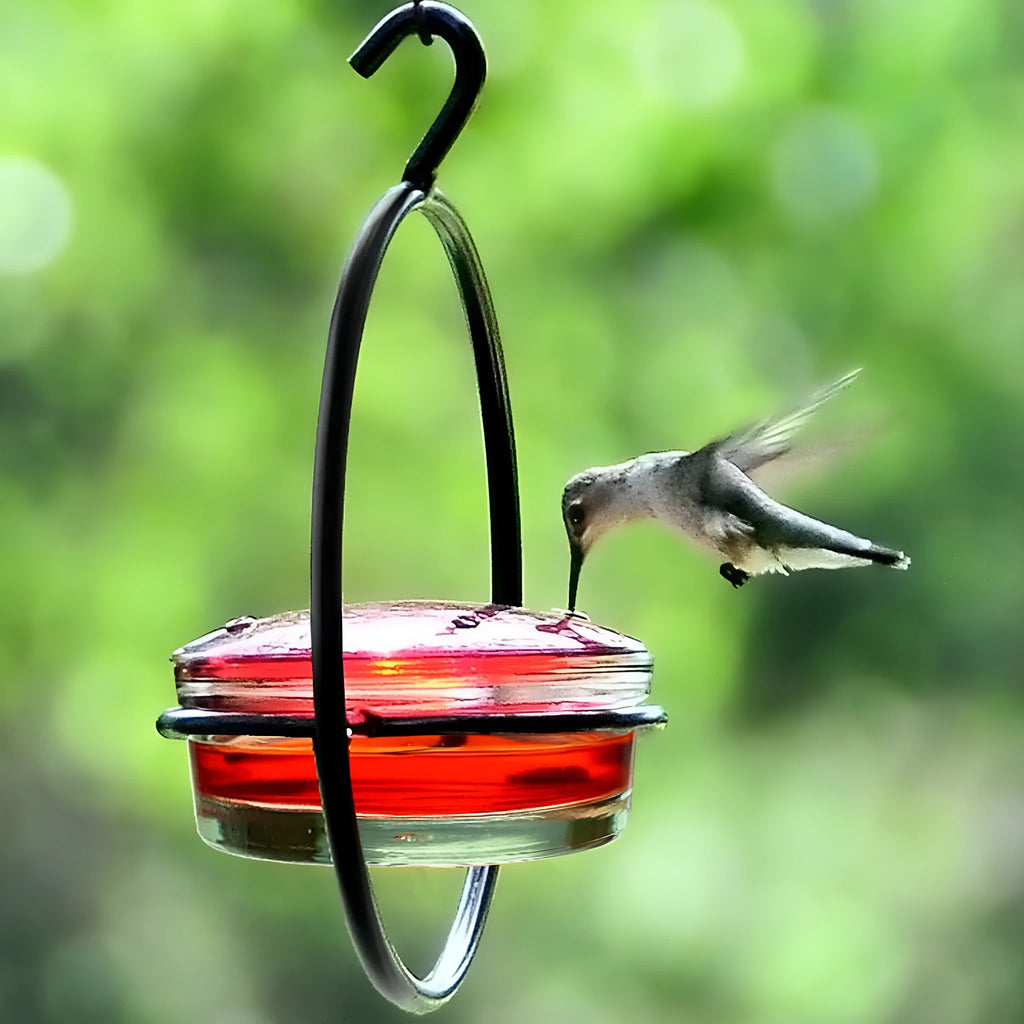 Metal round hanging hummingbird feeder in black with perch and nectar ports on outdoor hook
