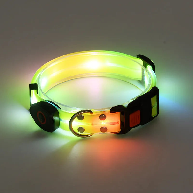 LED luminous pet collar and nylon tow rope with colourful light strips, rechargeable via USB, in black colour option