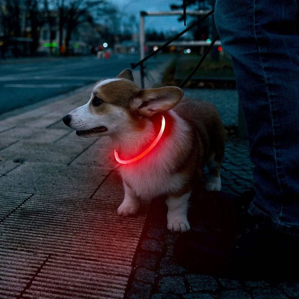 USB rechargeable LED dog collar showing blue illuminated light and adjustable 70cm TPU strap