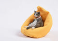 Small lazy cat figurine seated on a sofa, a 1:6 scale resin and fabric car dashboard ornament.