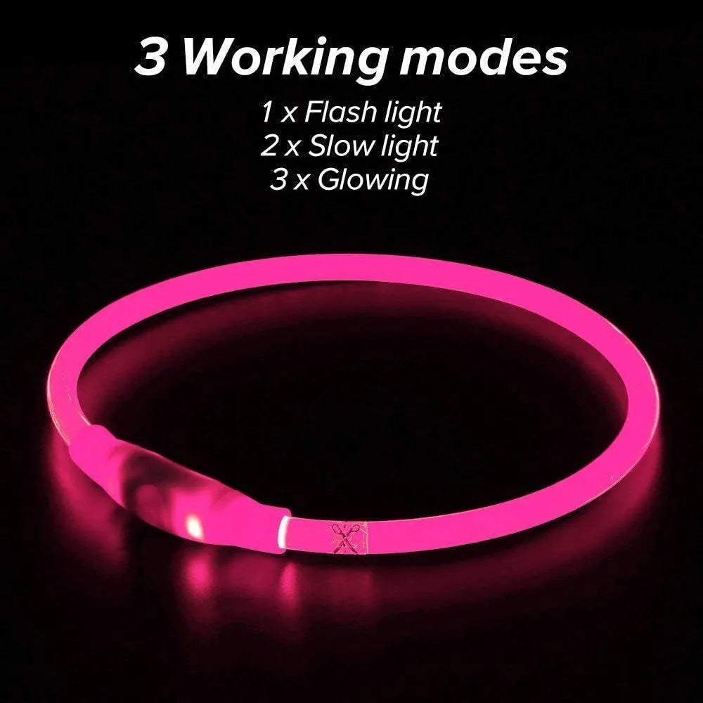 USB rechargeable LED dog collar showing blue illuminated light and adjustable 70cm TPU strap