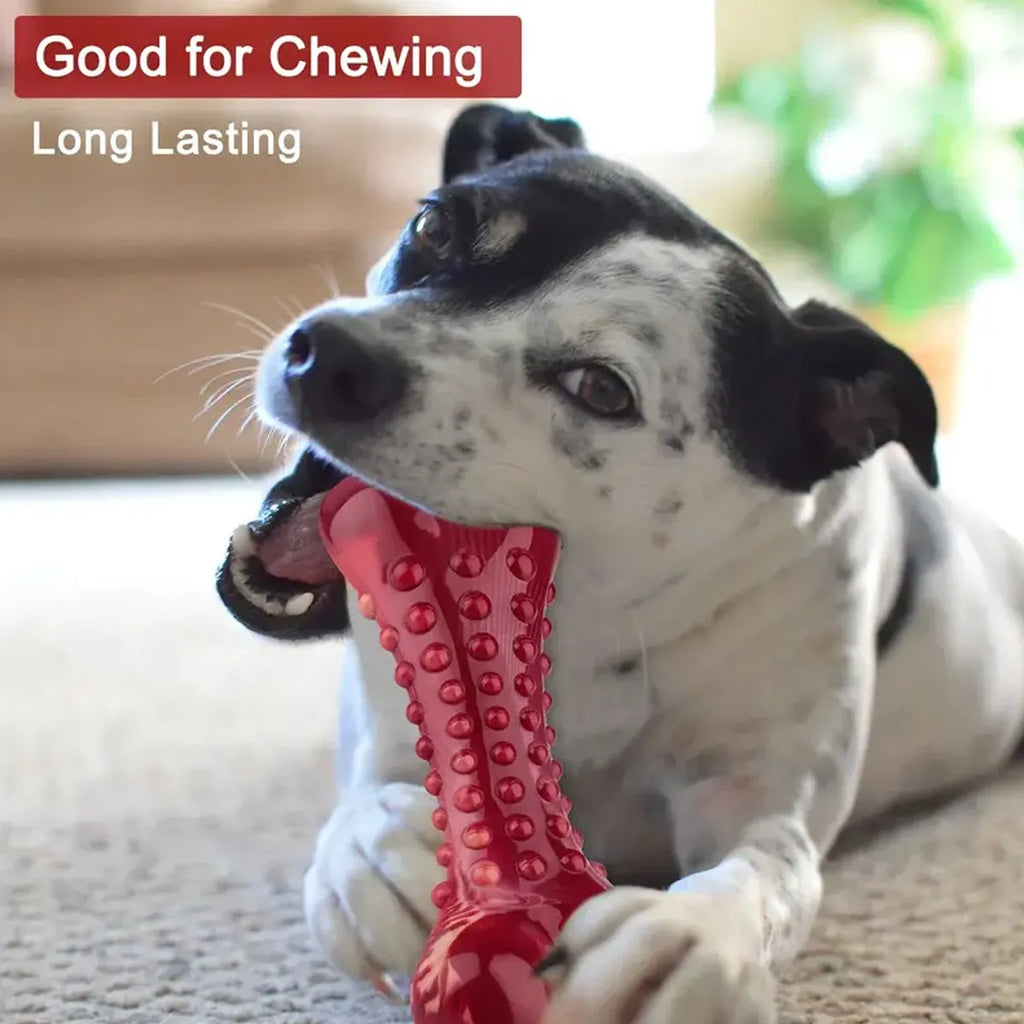 Natural rubber chew toy for aggressive dog chewing and heavy-duty use