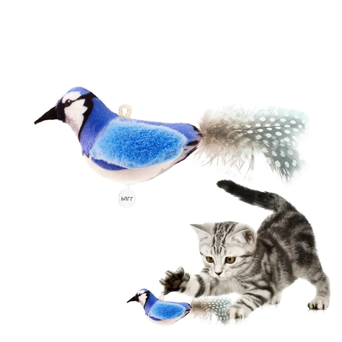 Colourful bird simulation plush cat toy with realistic bird shape for pet play