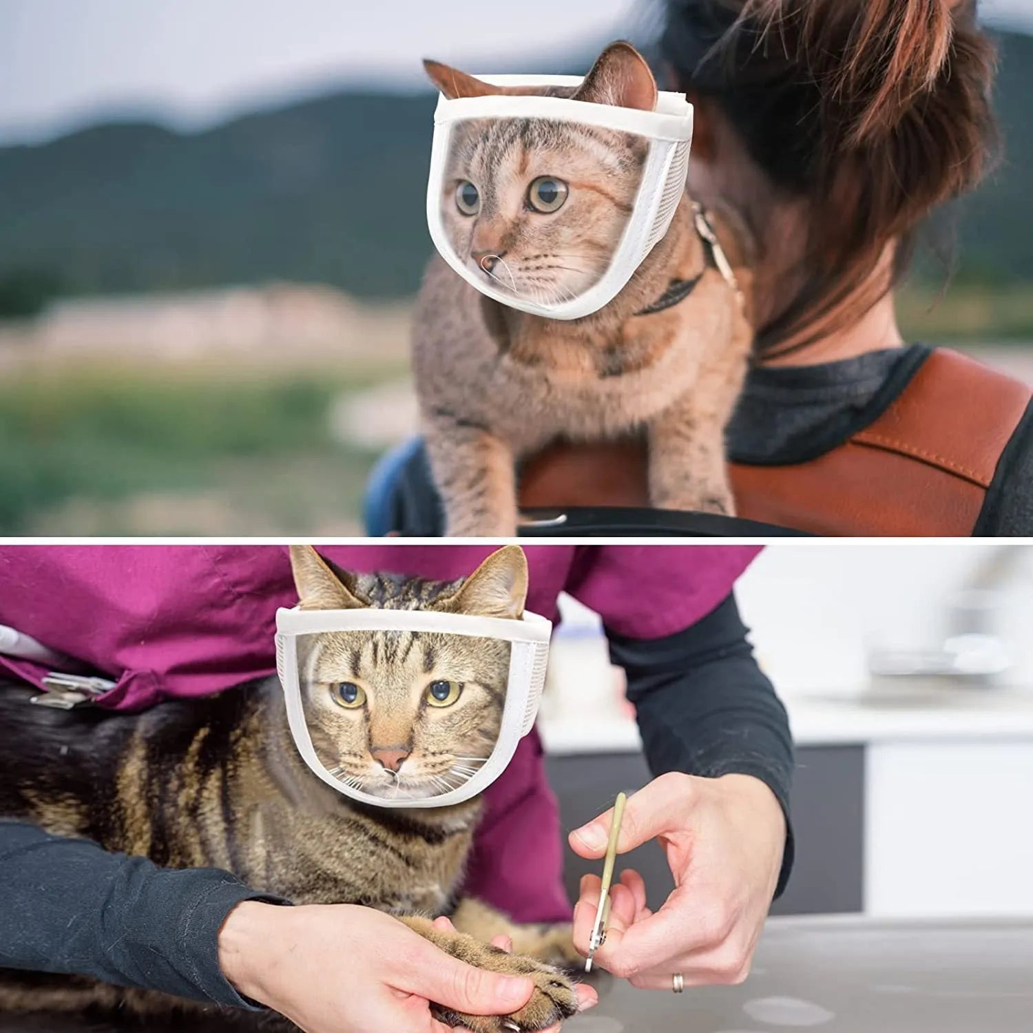 Clear PVC cat muzzle with cotton lining shown in S and M sizes for grooming and training