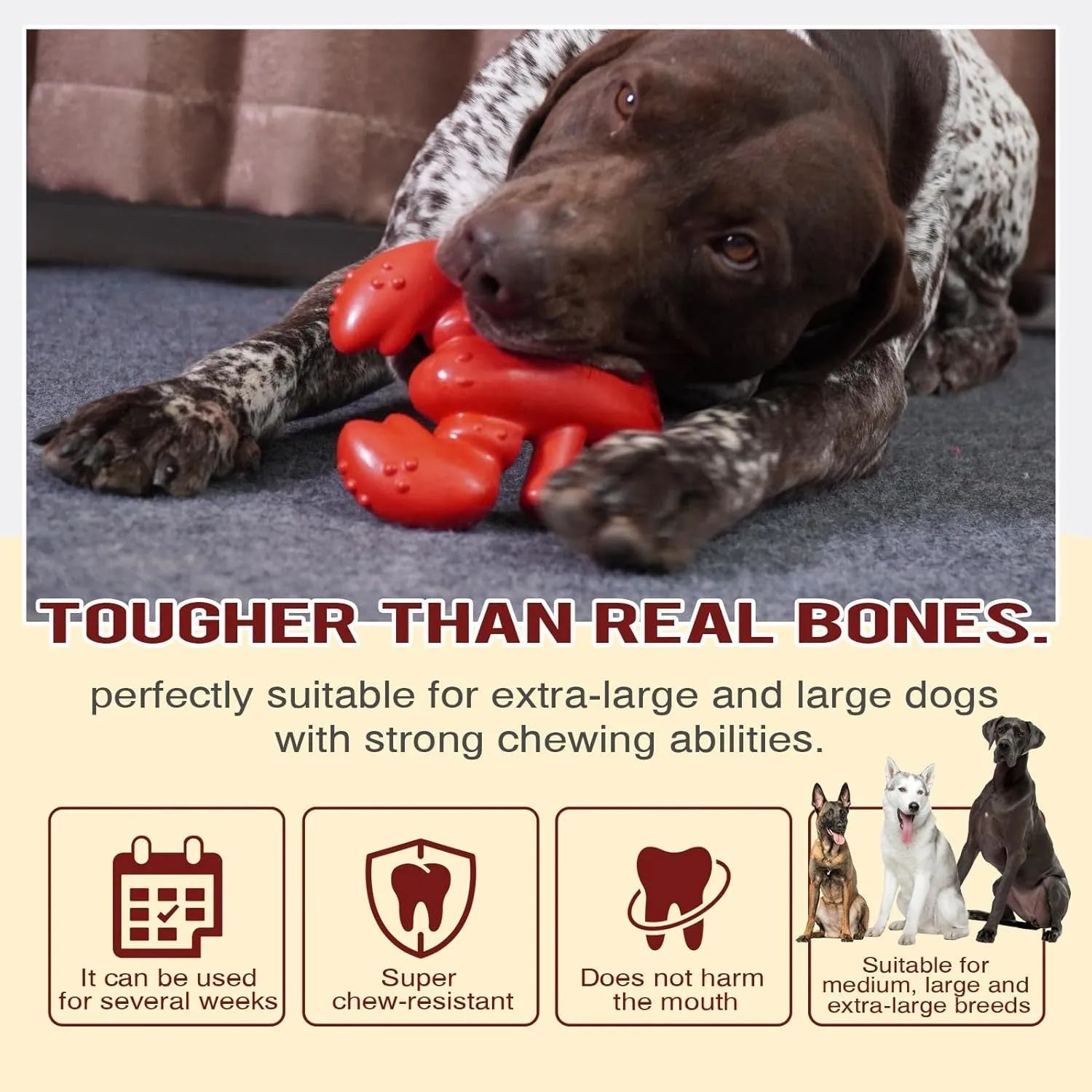 Red heavy-duty nylon chew bone toy for large breed dogs on a plain background