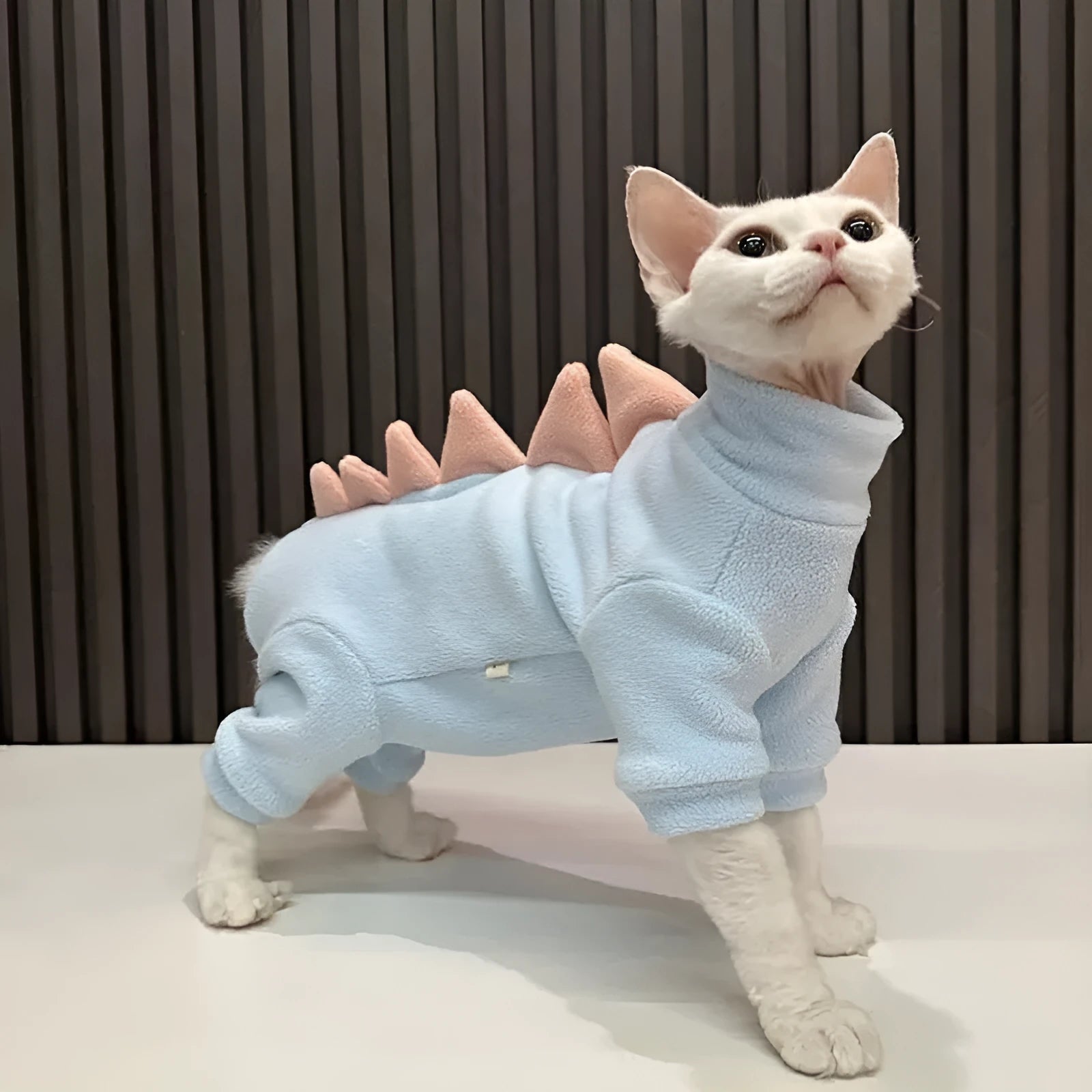 Sphynx cat wearing a green fleece dinosaur costume with a tail and spine spikes