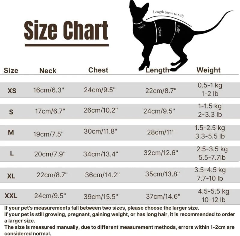 Sphynx cat wearing a green fleece dinosaur costume with a tail and spine spikes
