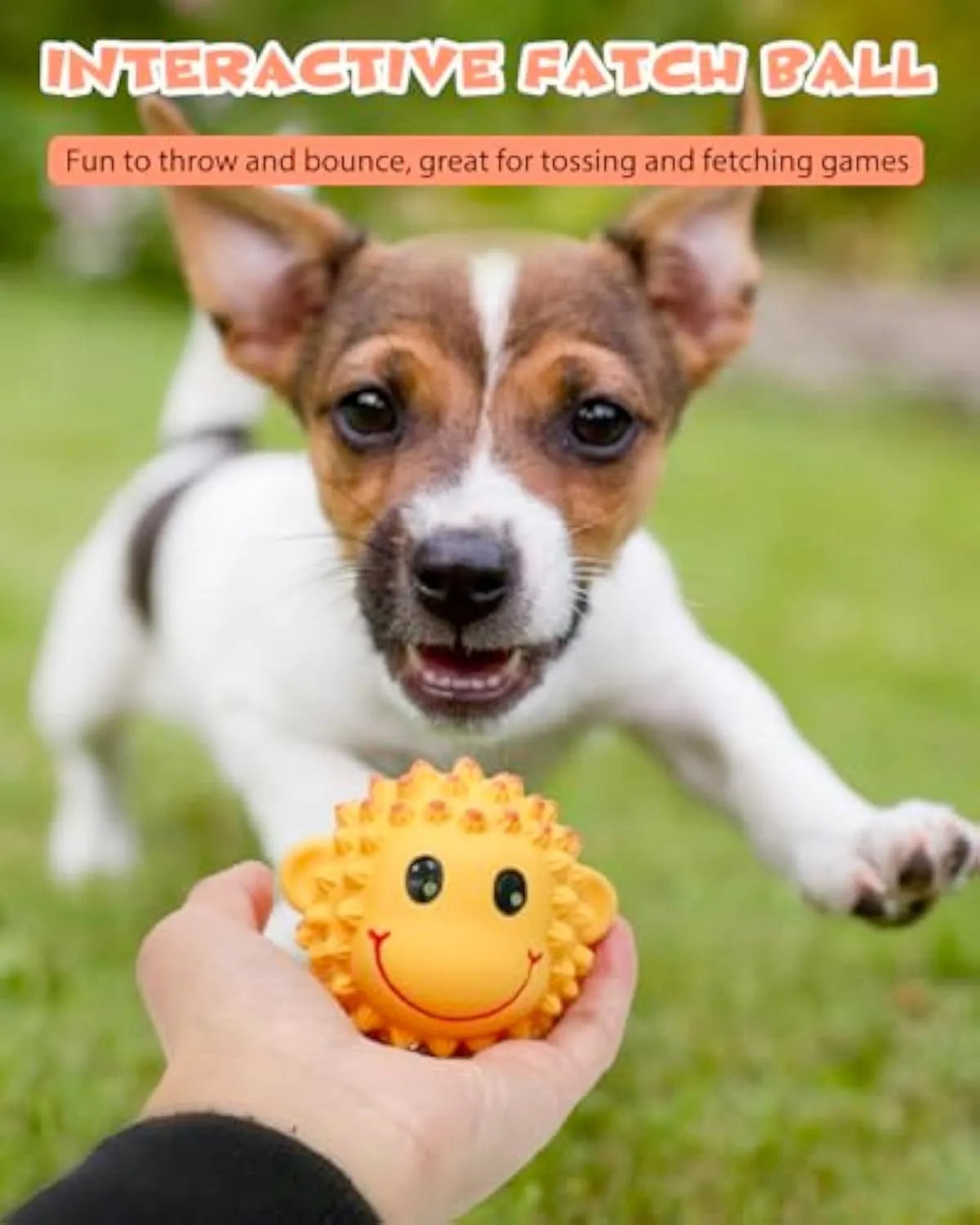 Orange and yellow spiky latex dog toy with animal design, shown next to a measuring tape showing 3 inch diameter.
