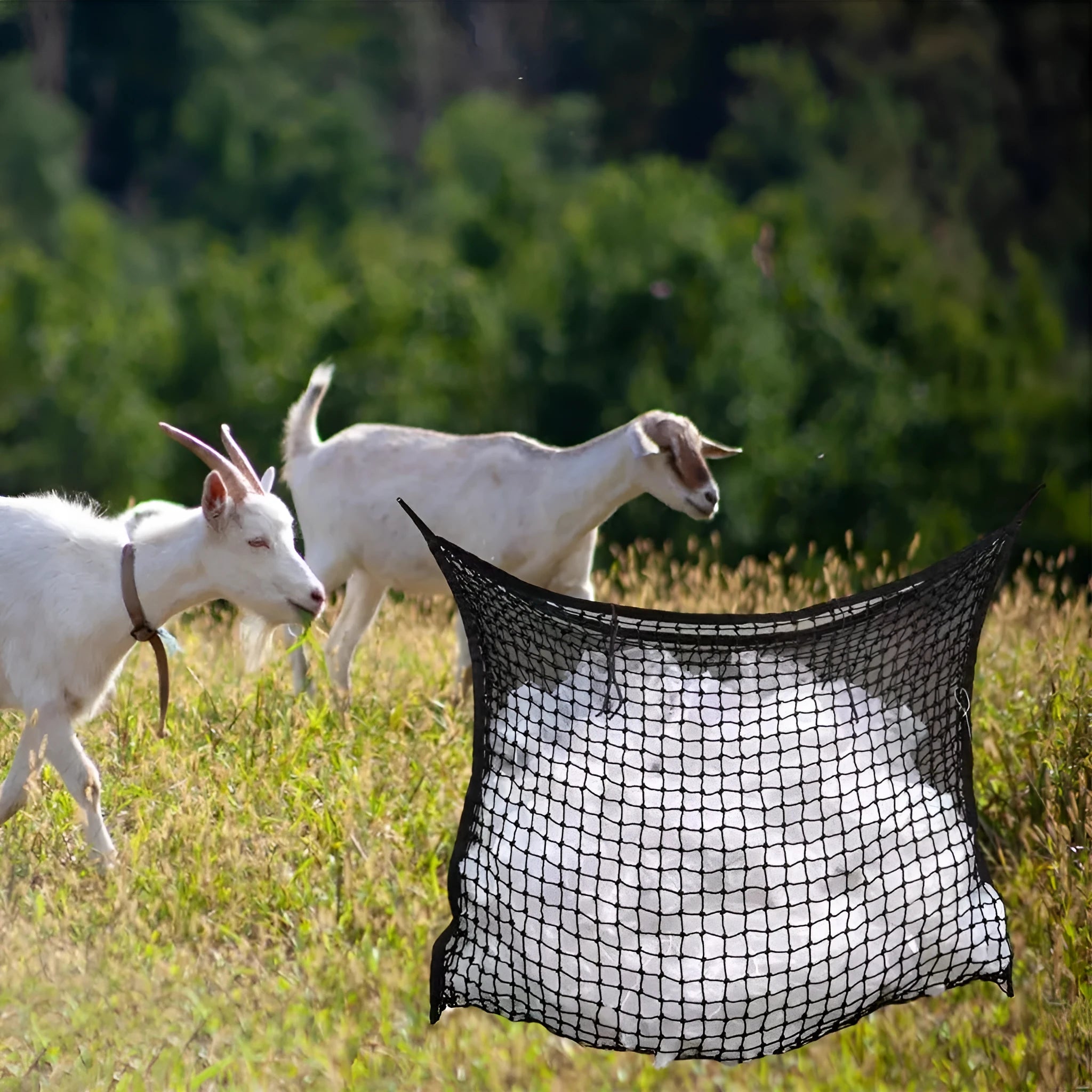 Black woven PE rope grid hanging feeding bag for horses and cattle.