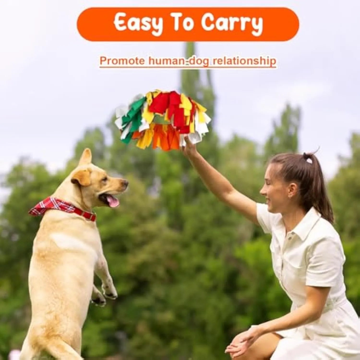 Rainbow polar fleece interactive sniffle dog flying disc with 40cm outer diameter and 16cm inner opening