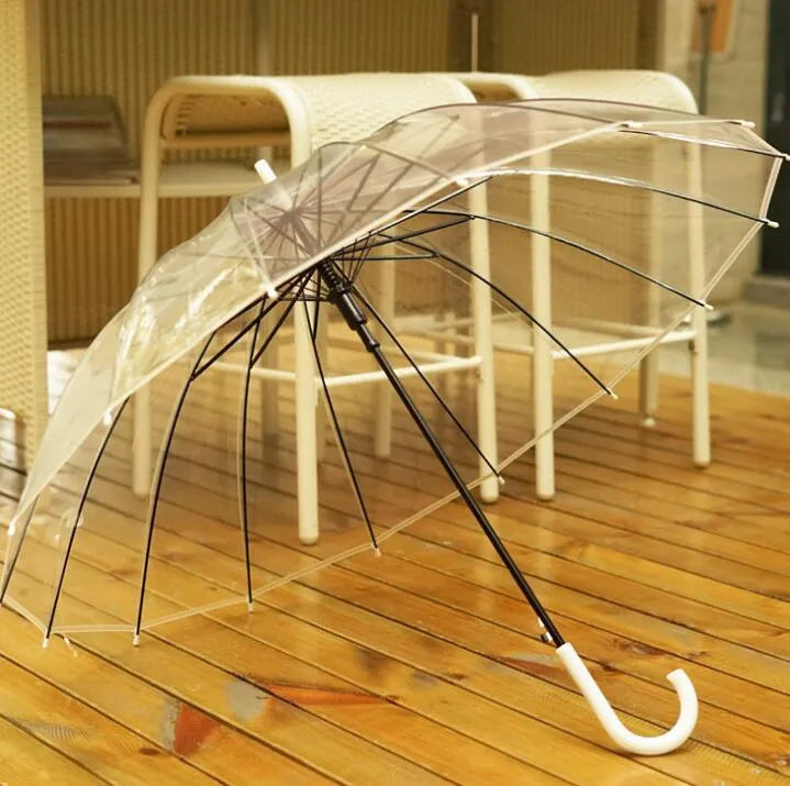 Transparent long handle umbrella showing 16-rib structure and black steel skeleton