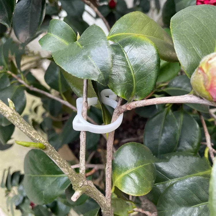 Cat-shaped plastic plant clip in red, yellow, green, or white, shown at 3x4 cm size.