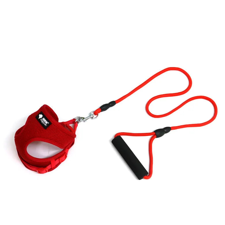 Blue round rope dog leash with foam handle and matching adjustable collar for small dogs.