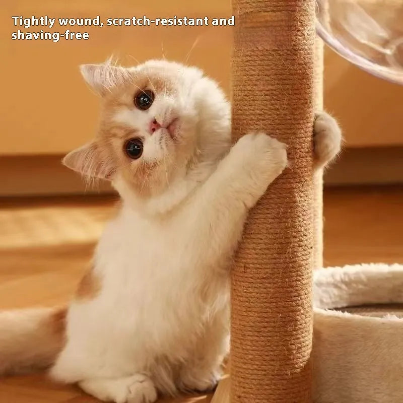 Wooden cat climbing frame with integrated space capsule in luxury wood colour