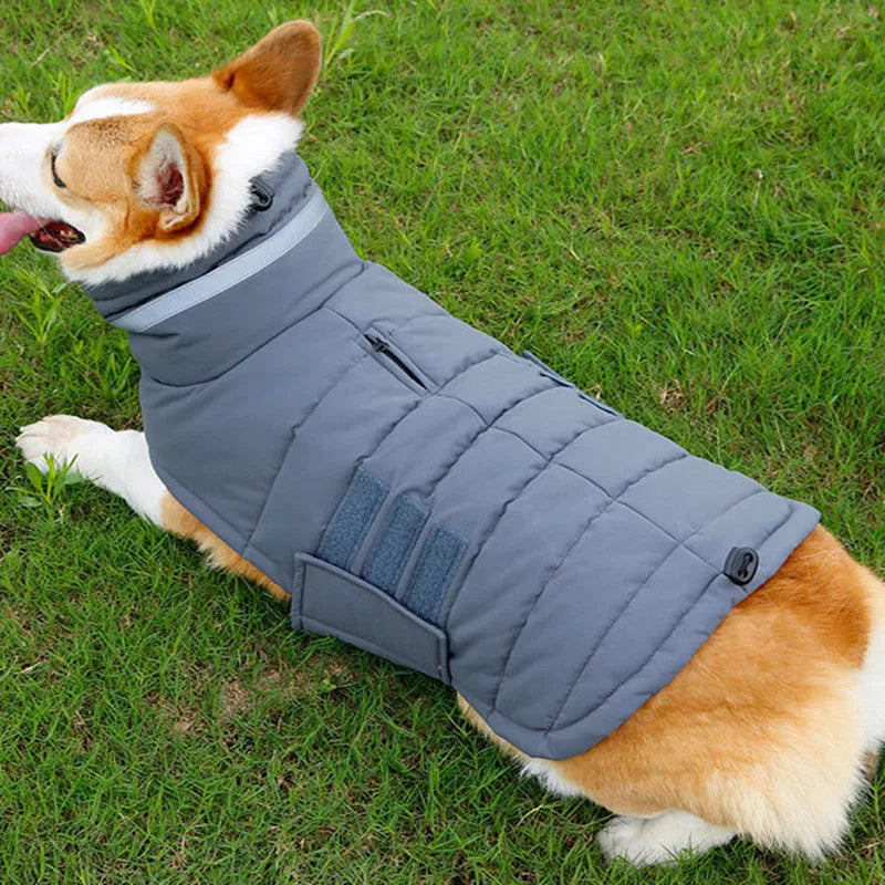 Grey winter dog coat with thickened filling and waterproof nylon outer for medium large dogs