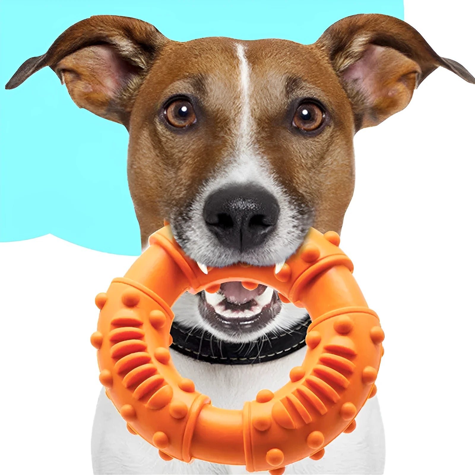 Blue orange and red hollow bendy dog fetch stick toy for safe chewing and catch games