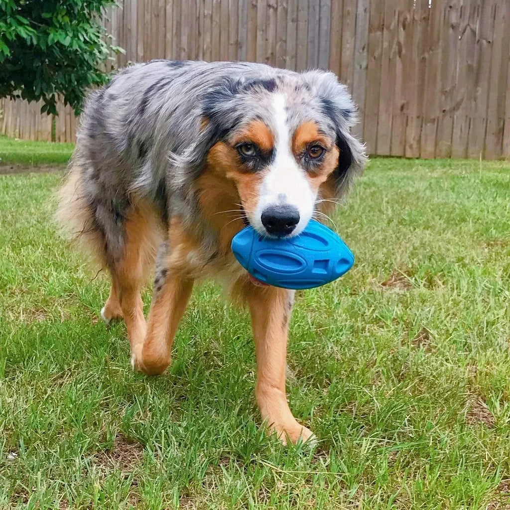 Blue green orange rubber squeaky dog chew toy for medium large breed aggressive chewers